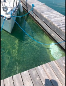 Ithaca Yacht Club possible HAB